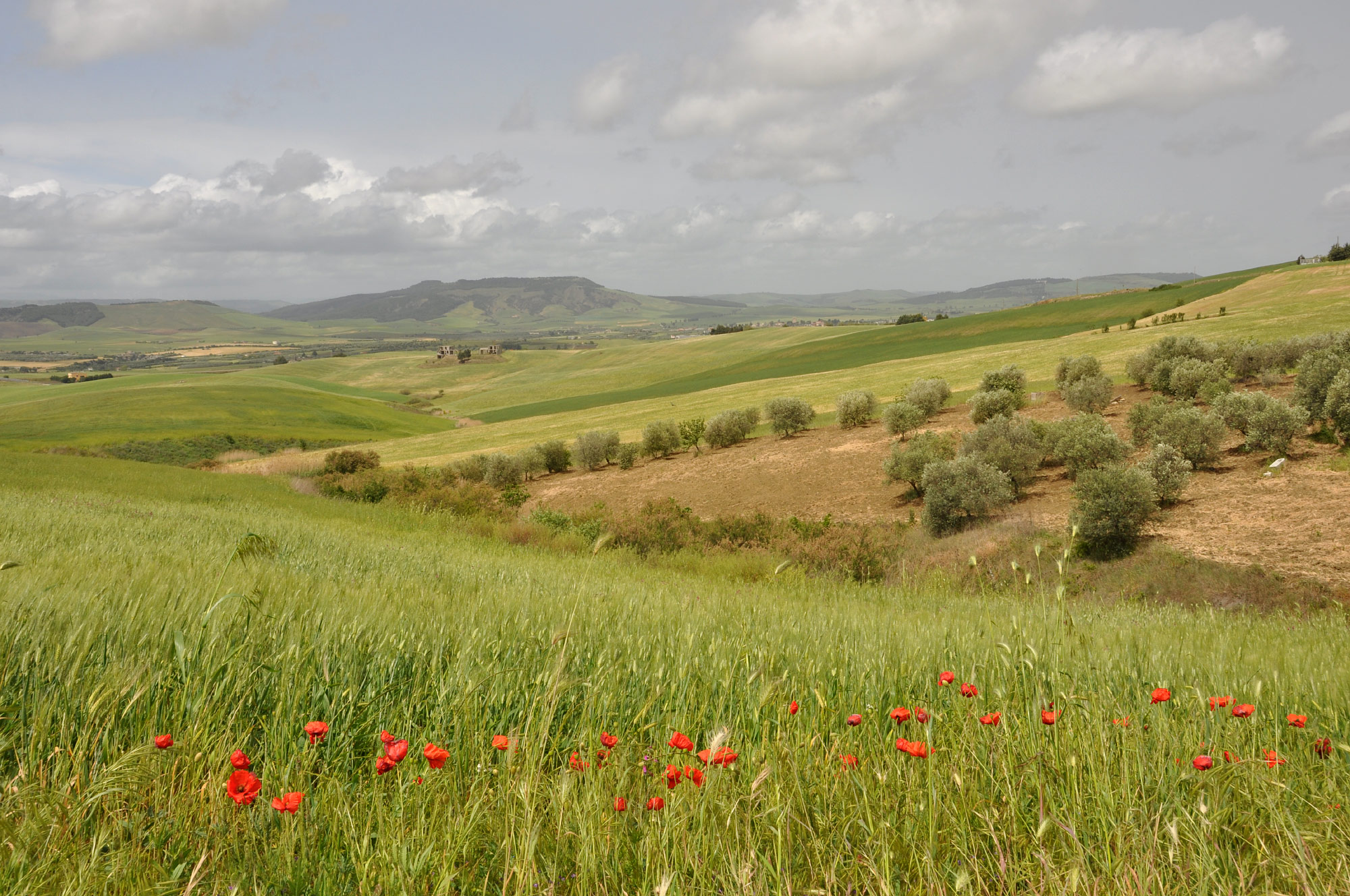 Basilicata (Lucania)